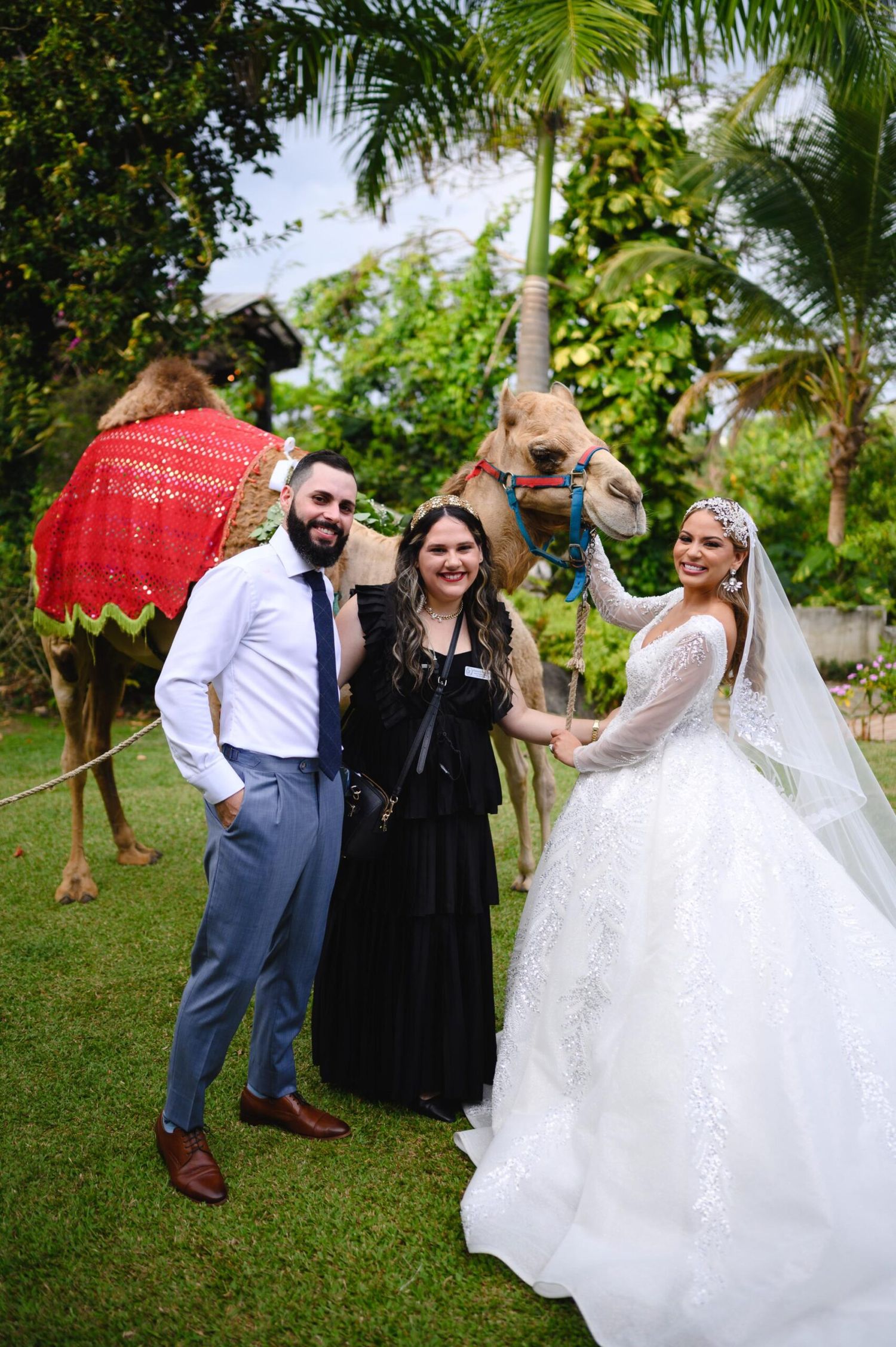Bride and groom pose with a wedding officiant and a decorated camel at an outdoor tropical wedding venue.