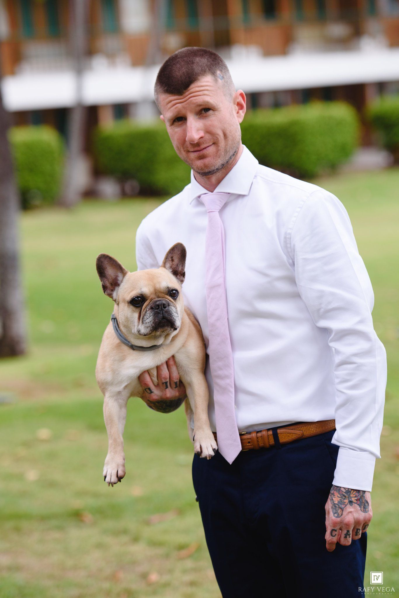Man in white shirt and pink tie holding a fawn French Bulldog outdoors at a formal event.