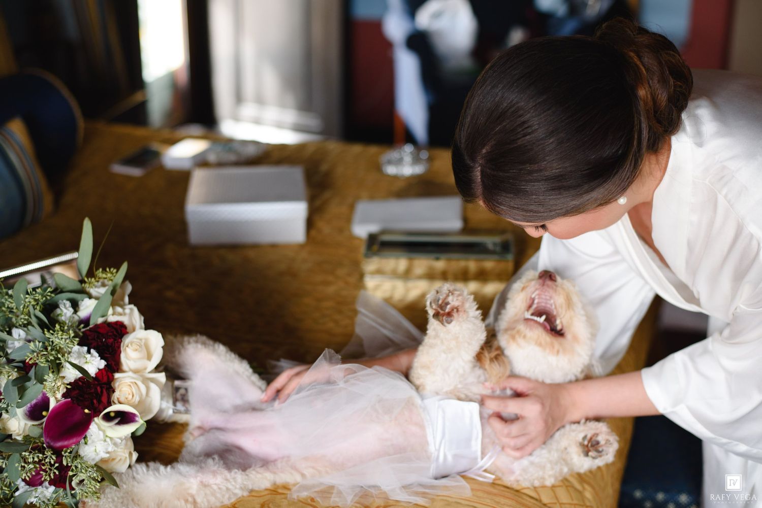 Woman in white dress playing with a fluffy dog wearing a pink tutu near a floral arrangement.