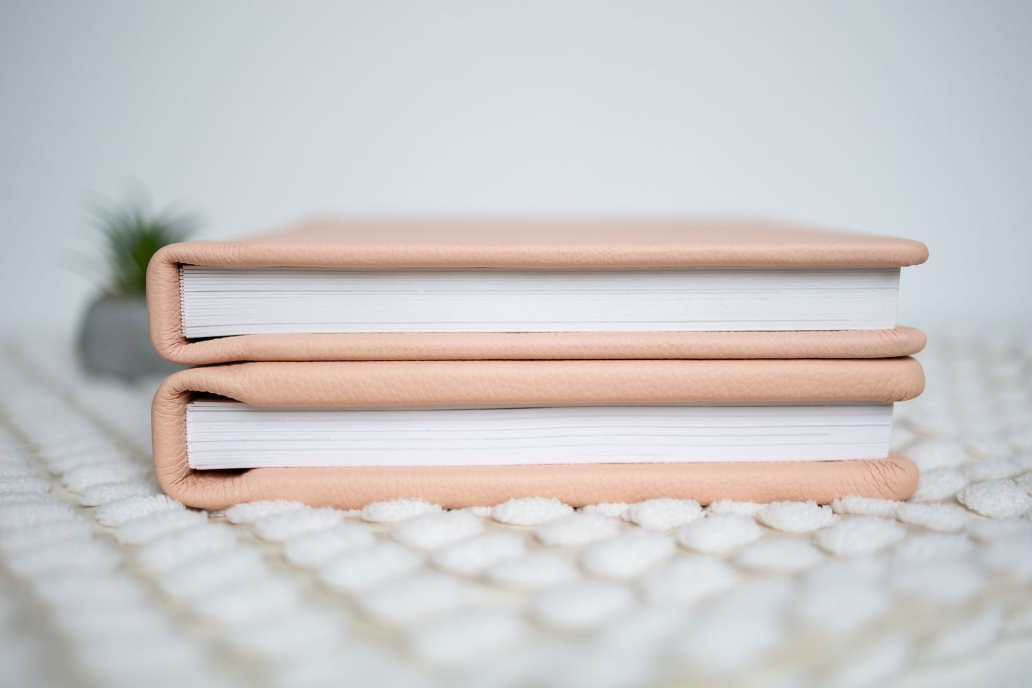 Two stacked pink hardcover journals with white pages on a white textured surface with a small plant in the background.