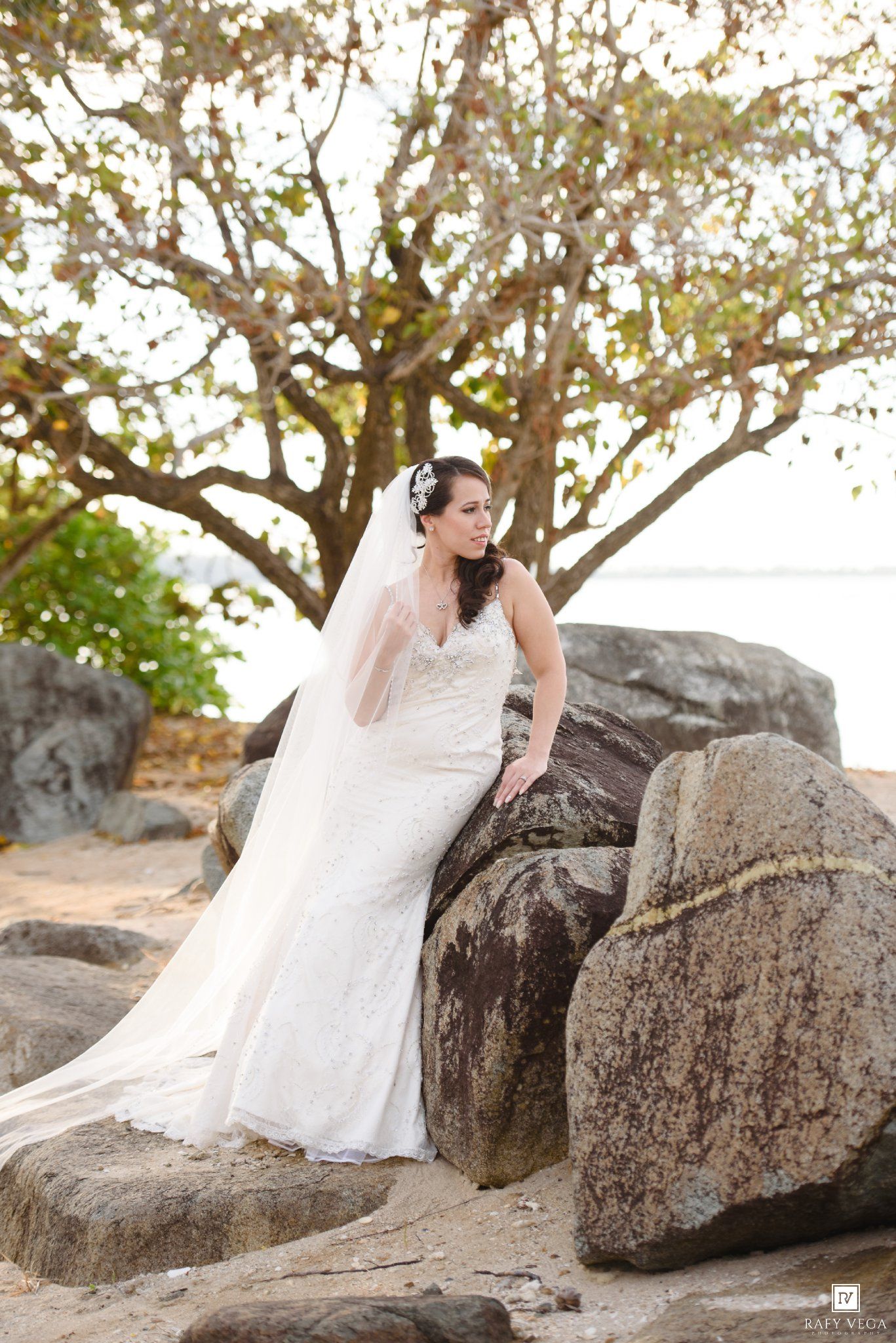 Bride in white gown and veil poses gracefully on rocks by the beach under a flowering tree.