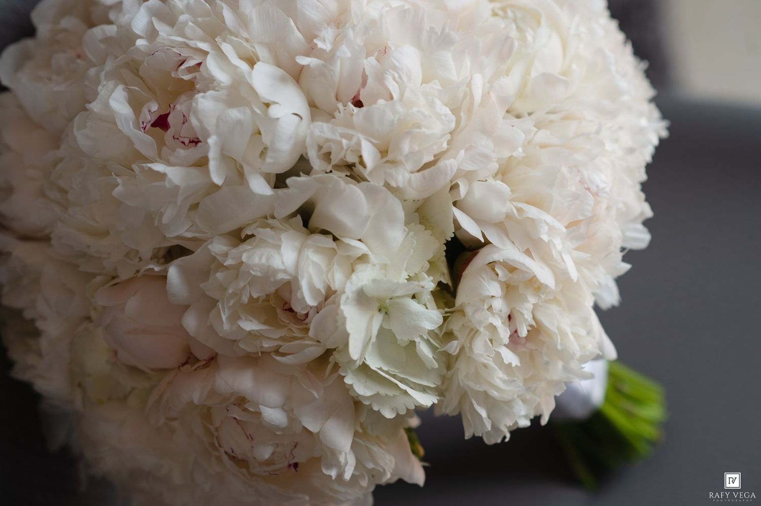 Close-up of a lush white peony bridal bouquet with soft cream petals, perfect for elegant wedding arrangements.
