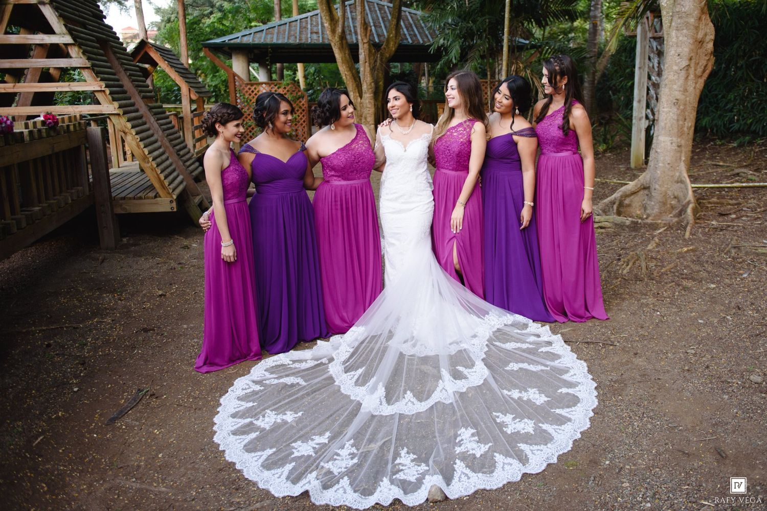Bride in lace mermaid gown with cathedral veil surrounded by bridesmaids in purple dresses outdoors.