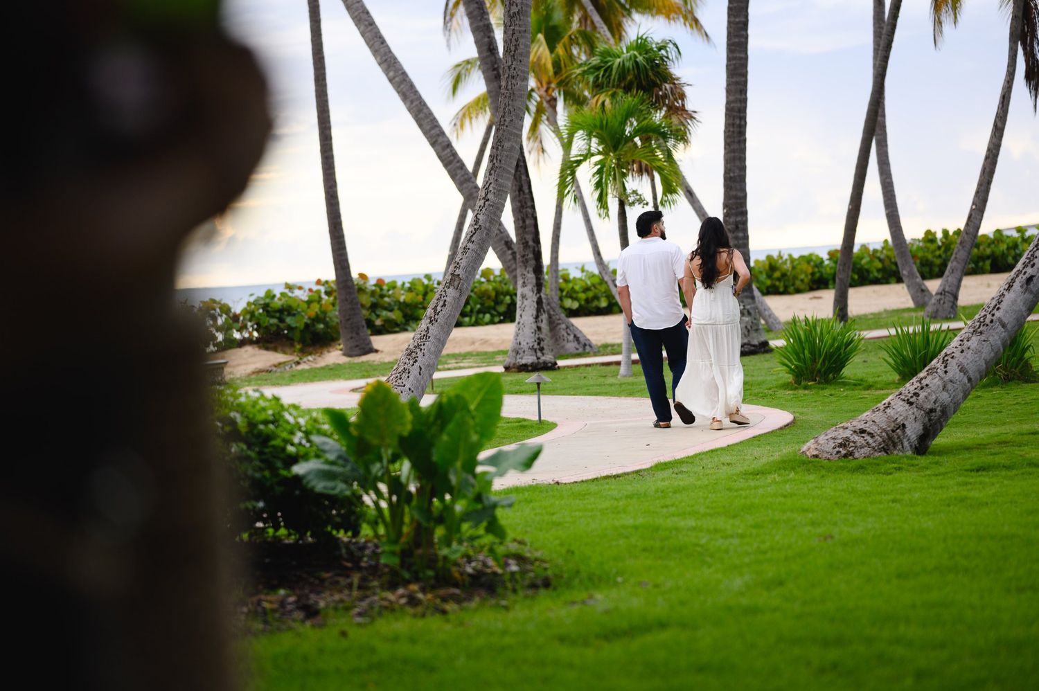 Couple walks hand-in-hand along a tropical garden path lined with palm trees near a serene ocean view.