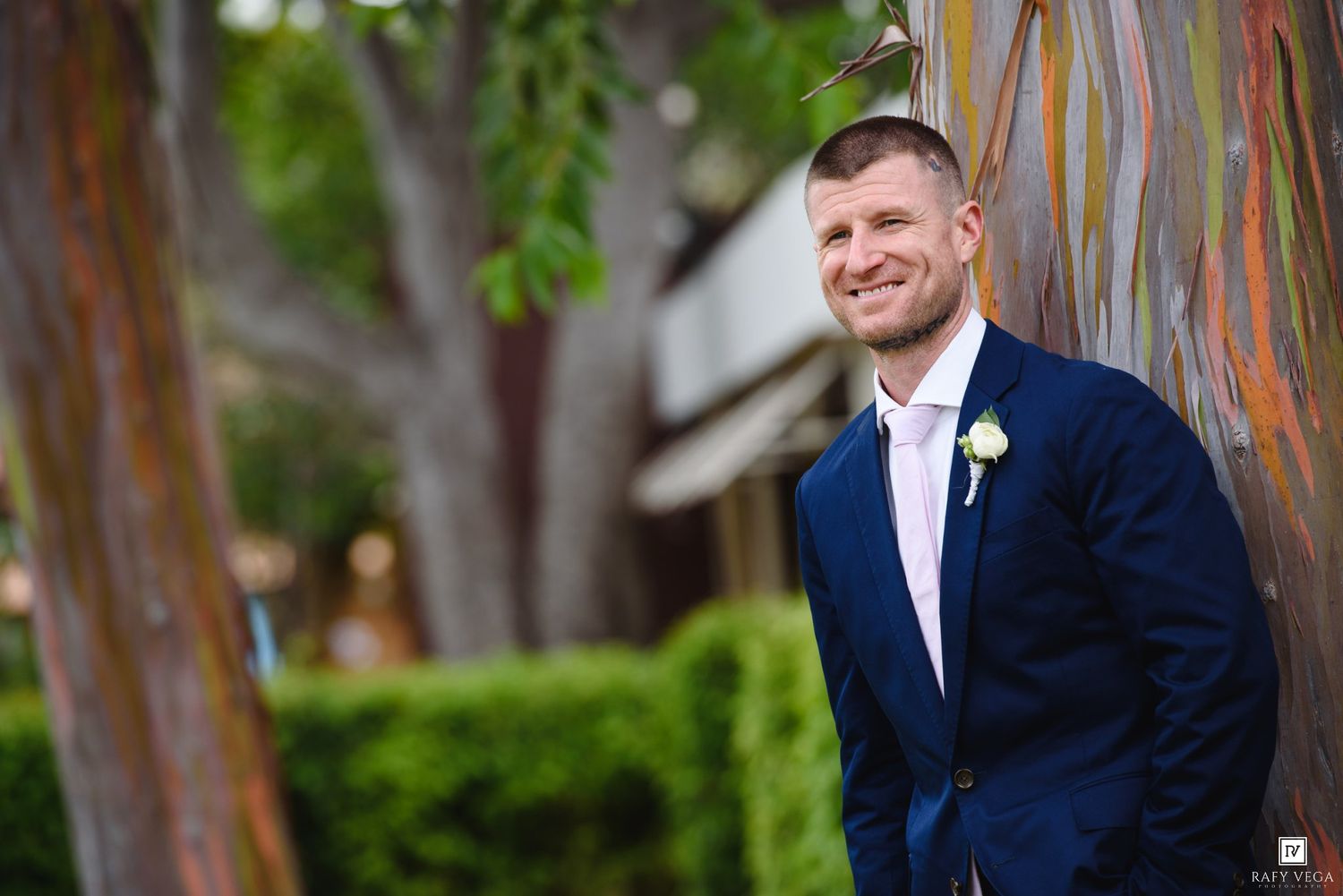 Smiling groom in navy suit with boutonniere leaning against colorful rainbow eucalyptus tree outdoors.