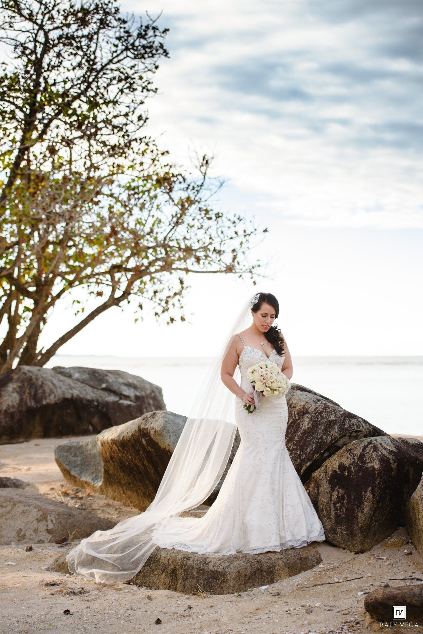 Bride in lace mermaid gown and veil poses with bouquet on rocky beach with tree and ocean backdrop.