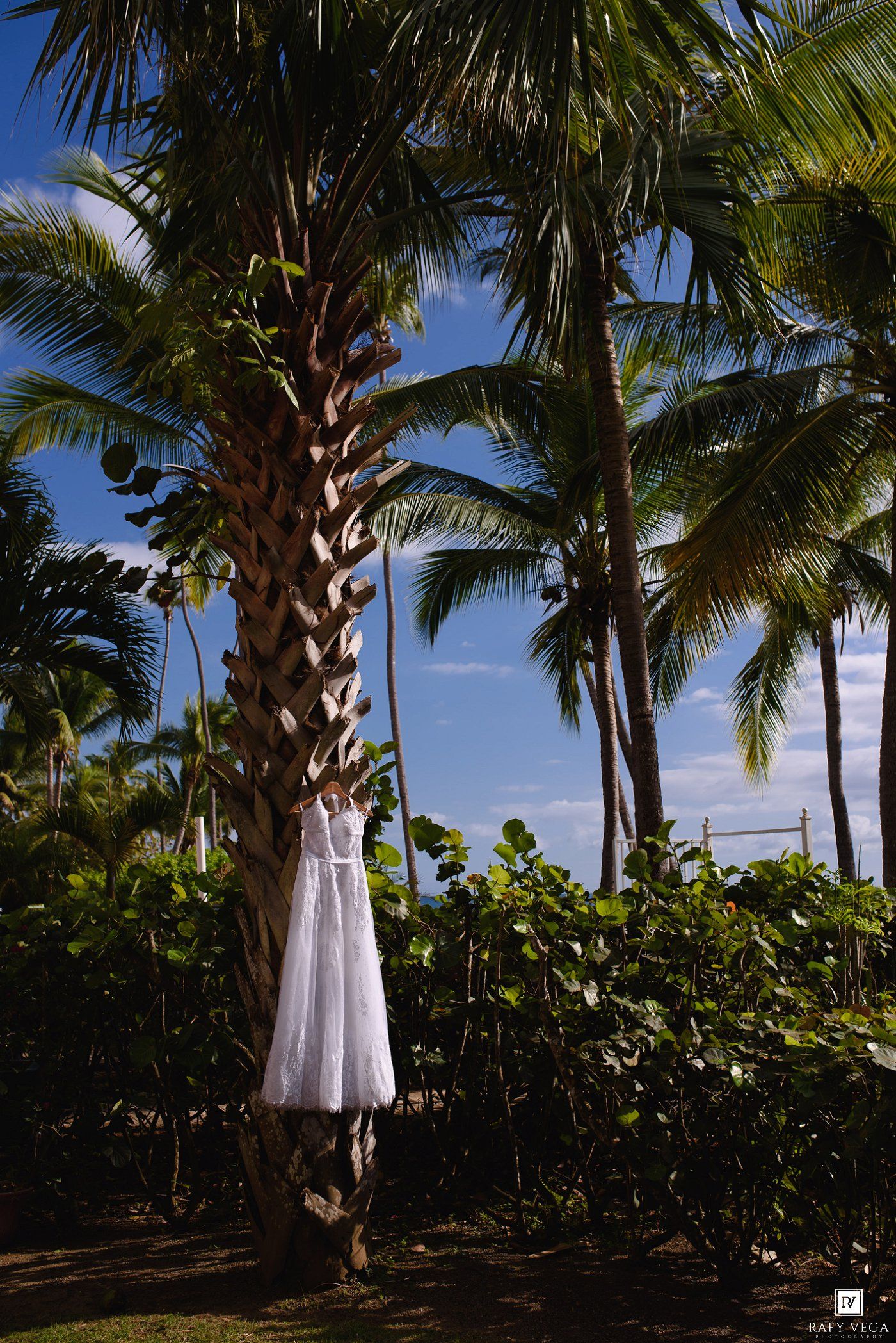 White wedding dress hanging on a tropical palm tree with lush greenery and blue sky in a Hawaii wedding setting.