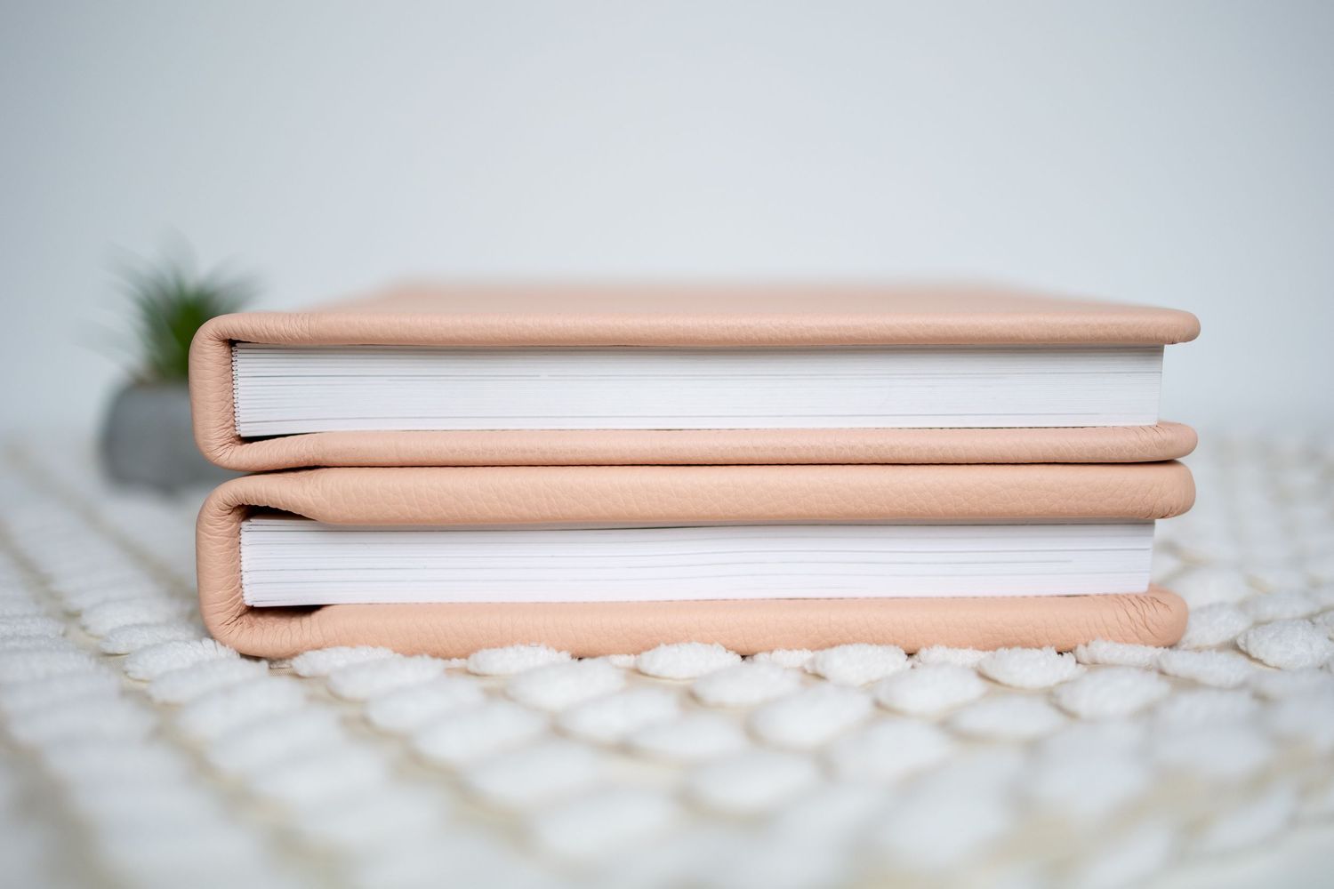 Two stacked light pink hardcover books with white pages rest on a textured white surface with a small plant in background.