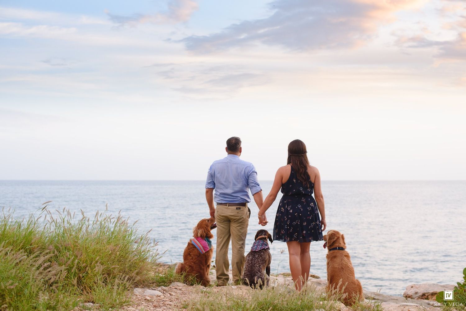 Couple holding hands with three dogs watching a serene ocean sunset from a grassy coastal bluff.
