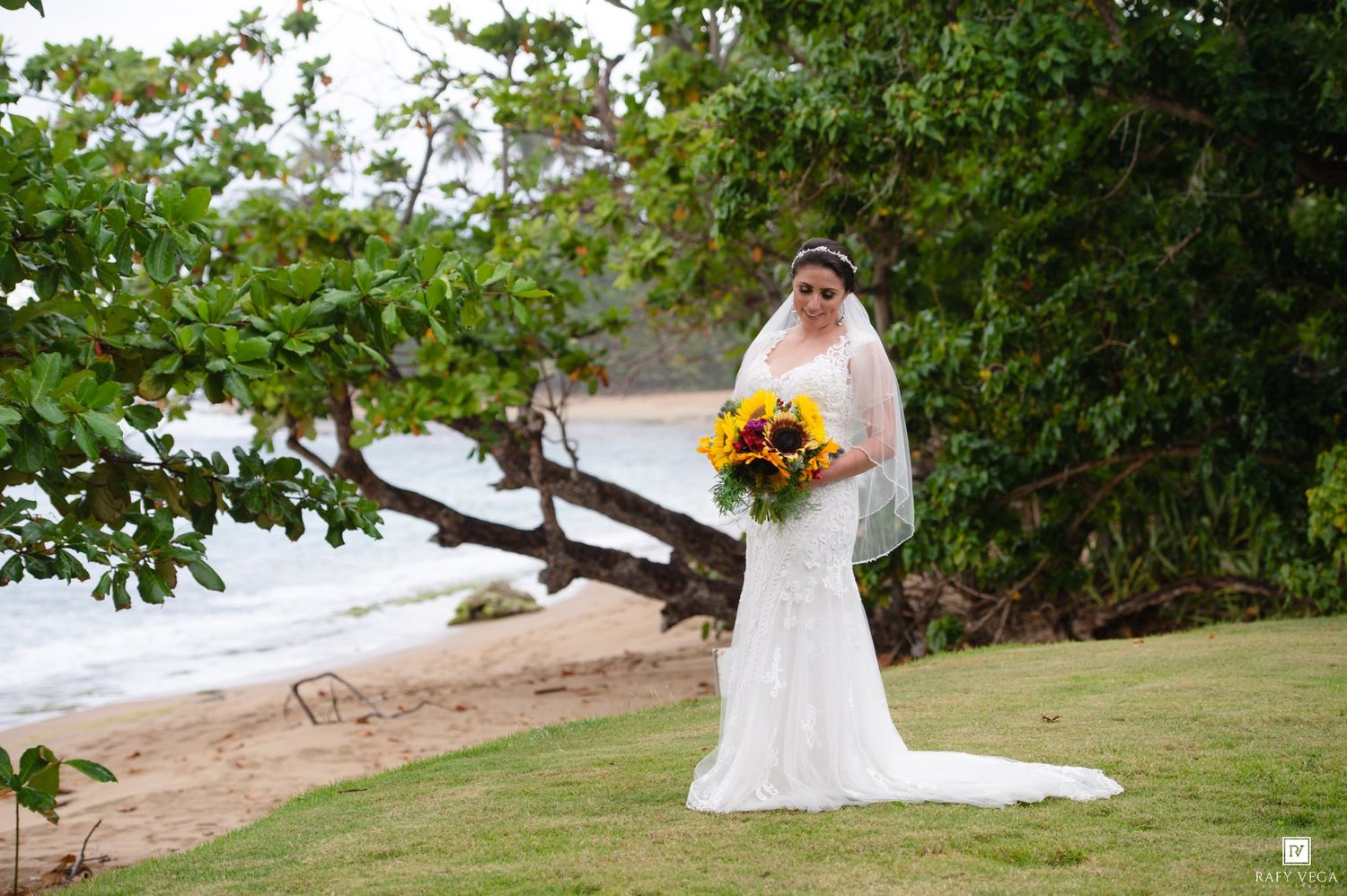 Bride in white lace gown and veil holding sunflower bouquet stands on tropical beach with lush green trees.
