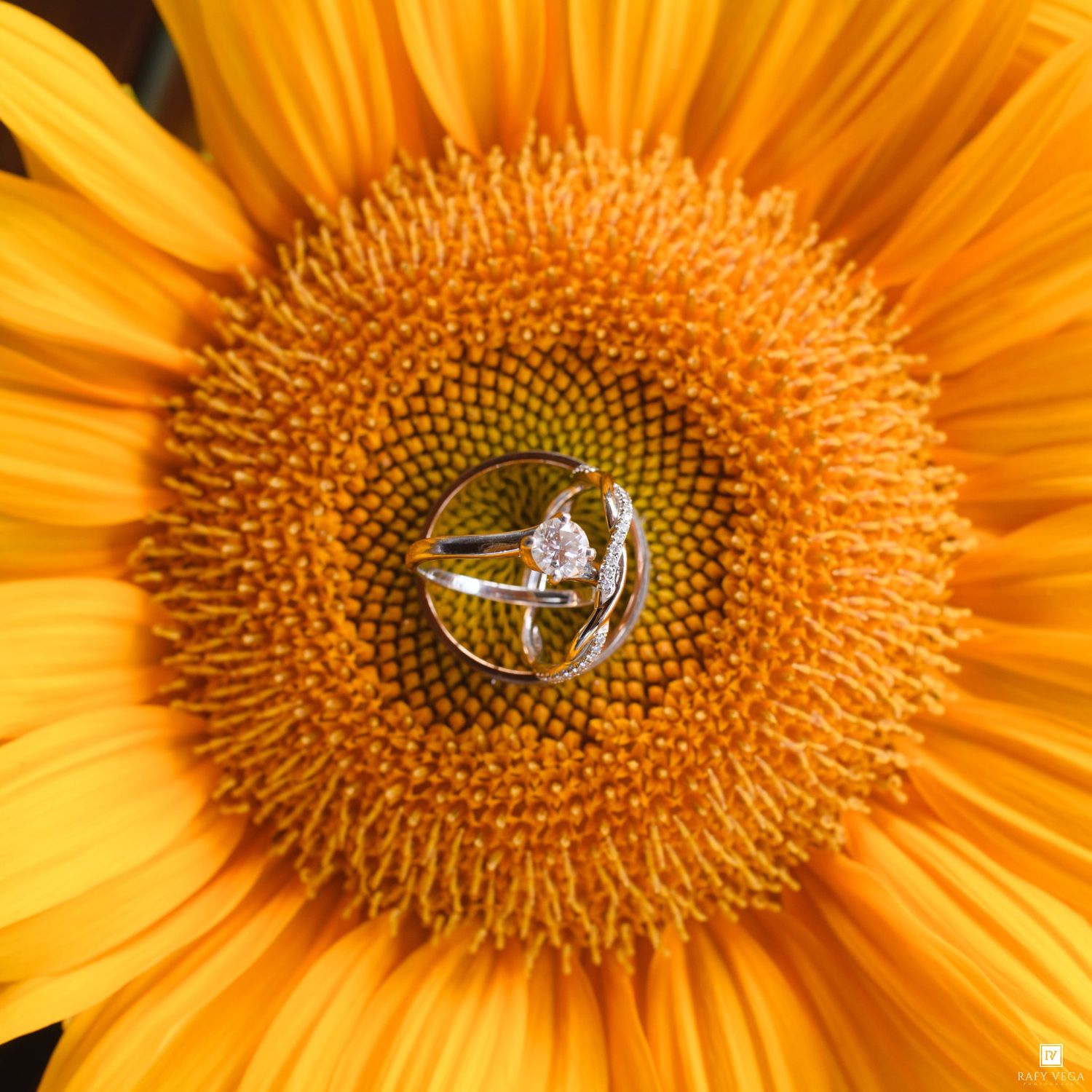 Diamond engagement ring resting in the center of a vibrant yellow sunflower, showcasing its elegant marquise-cut stone.