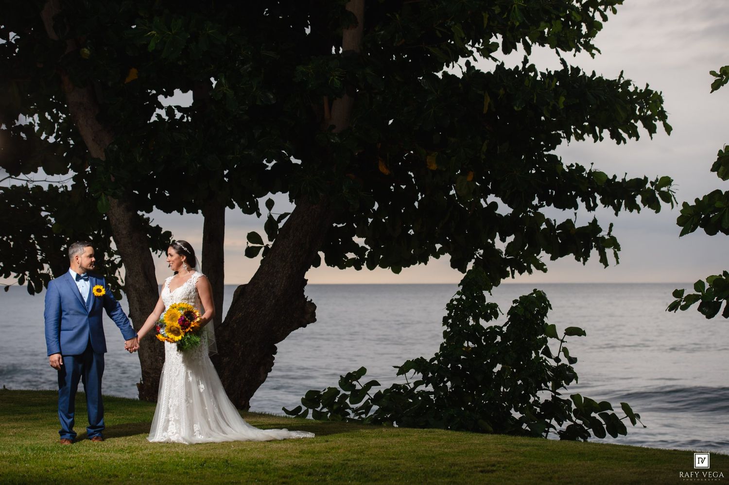 A bride and groom hold hands near a large tree with a serene ocean backdrop at their outdoor wedding.