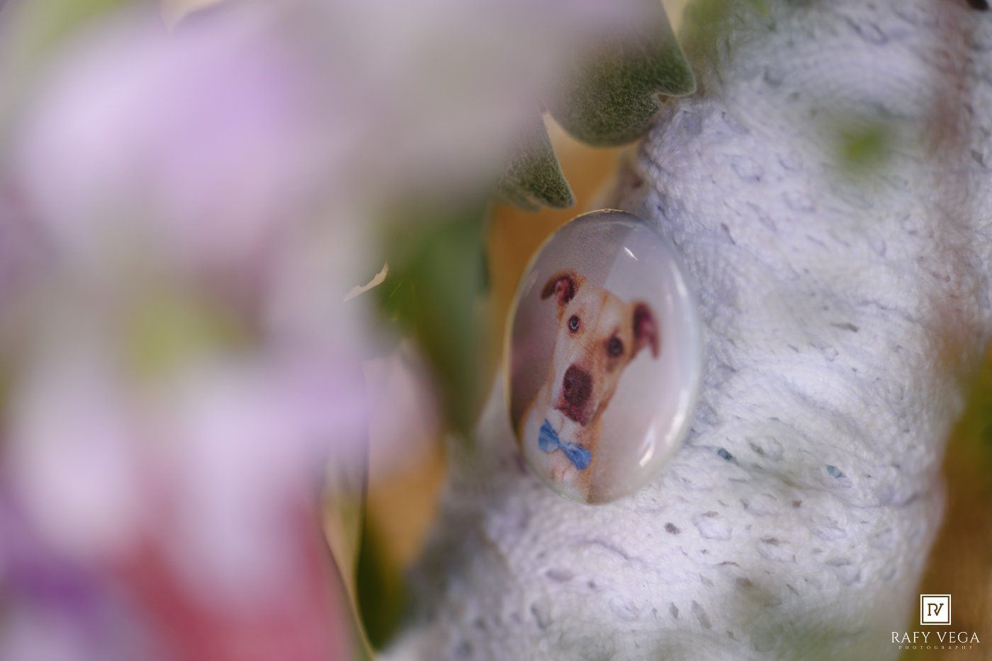 A small oval locket featuring a portrait of a white dog with a blue collar, nestled among soft white flowers.