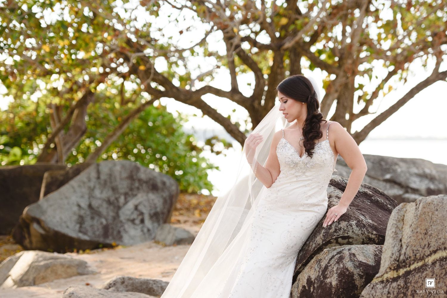 Bride in white wedding gown sitting on rocks by the beach under a tree, with veil flowing in the breeze.