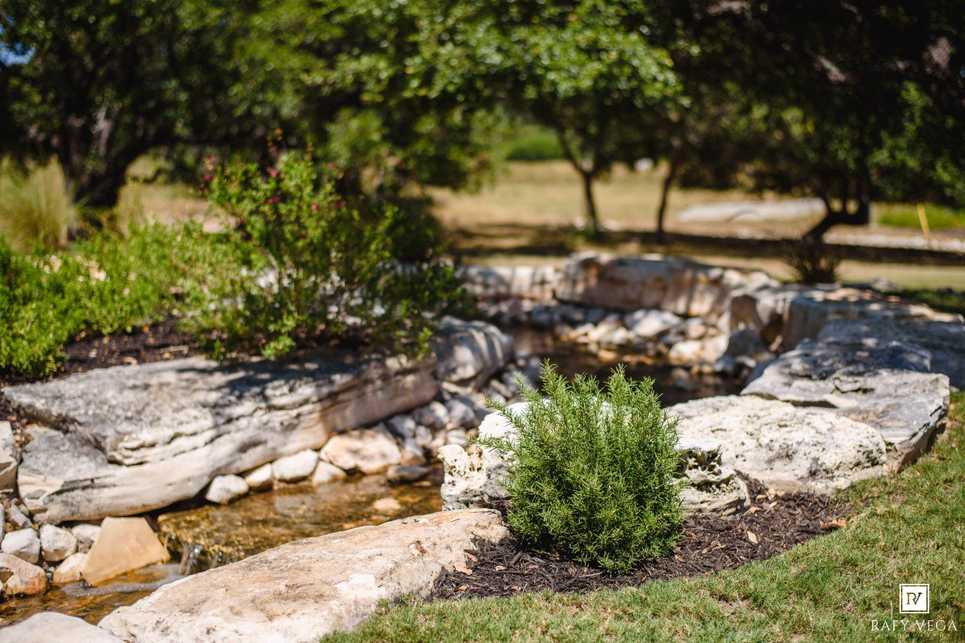 Natural stone water feature with lush greenery and shrubs in a landscaped outdoor garden setting.