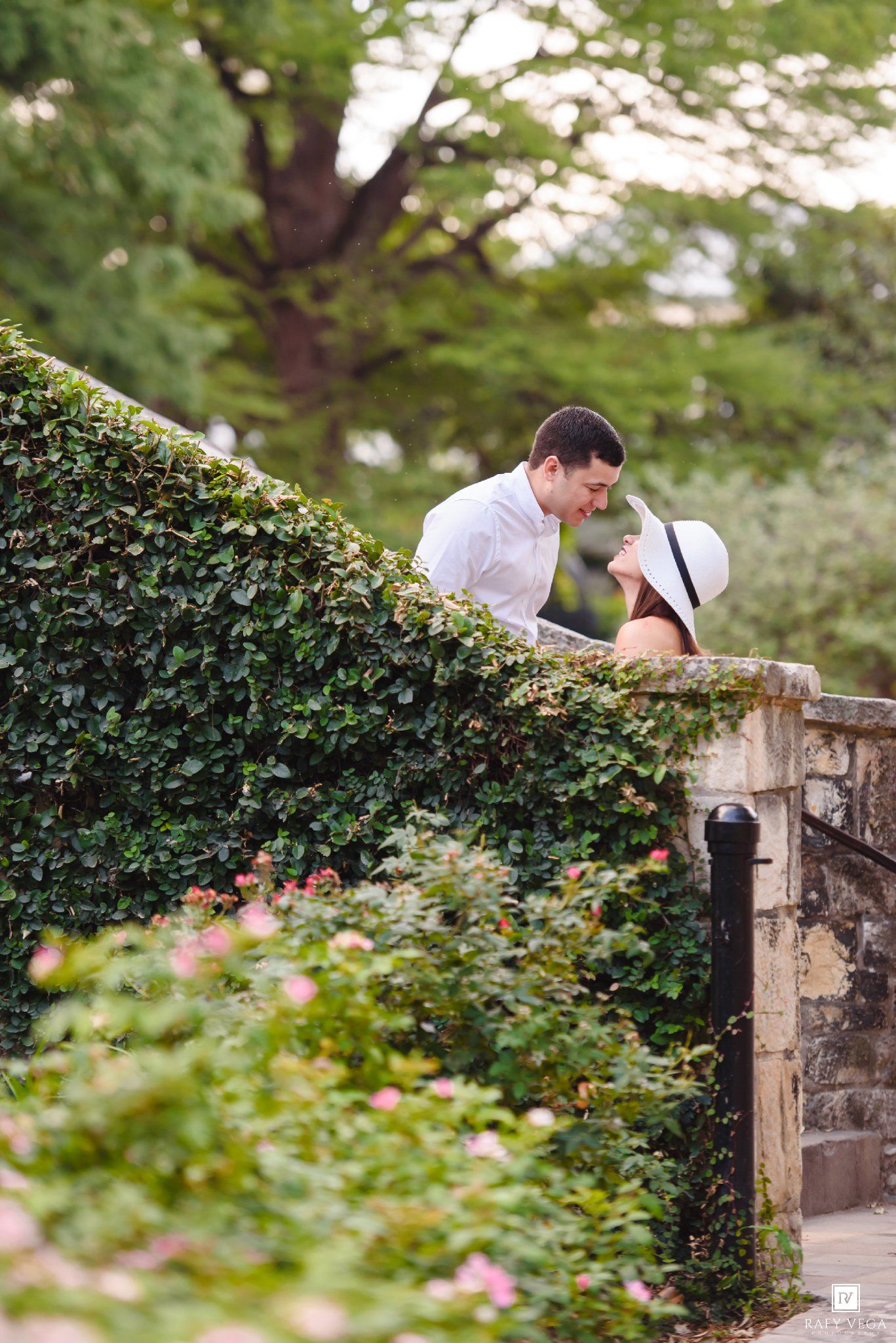 Romantic couple sharing a tender kiss over a stone wall surrounded by lush ivy and pink roses in a garden.