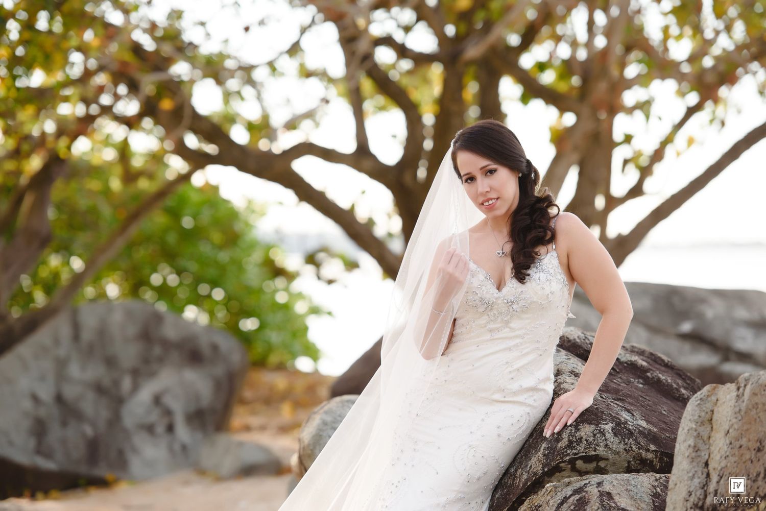 Bride in white lace wedding gown and veil posing on rocks under a tree at a tropical beach wedding.