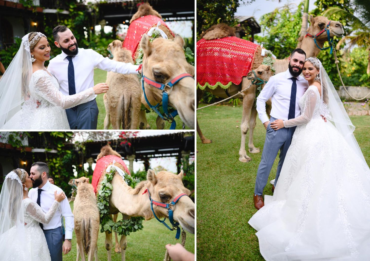 Bride and groom pose with a decorated camel at their outdoor wedding ceremony on a lush green lawn.