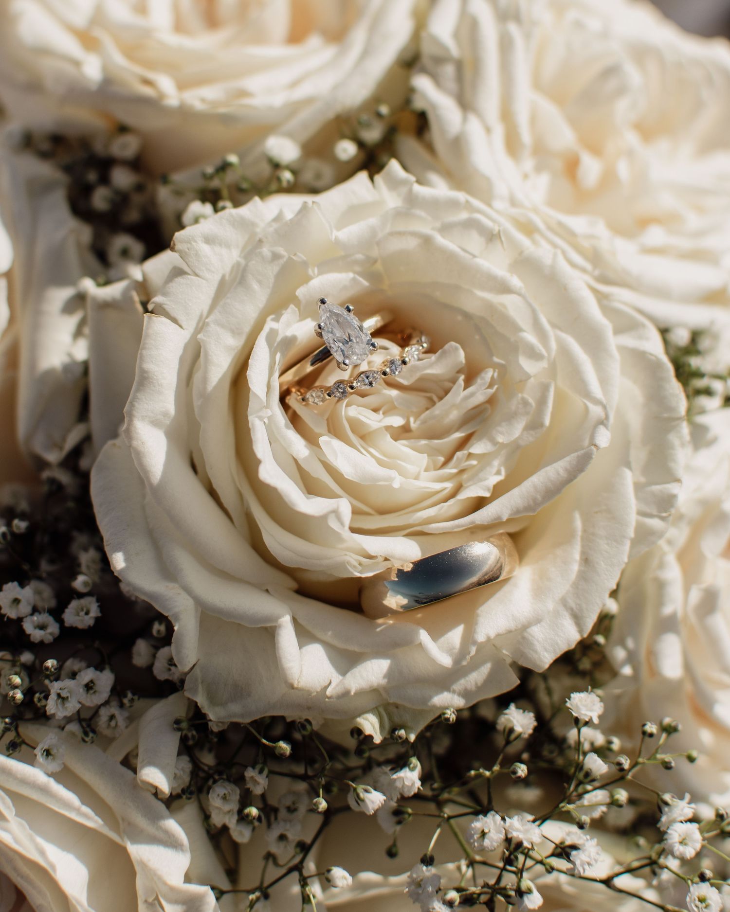 Close up of white roses with soft romantic detail photography, wedding ring setup, flat lay.