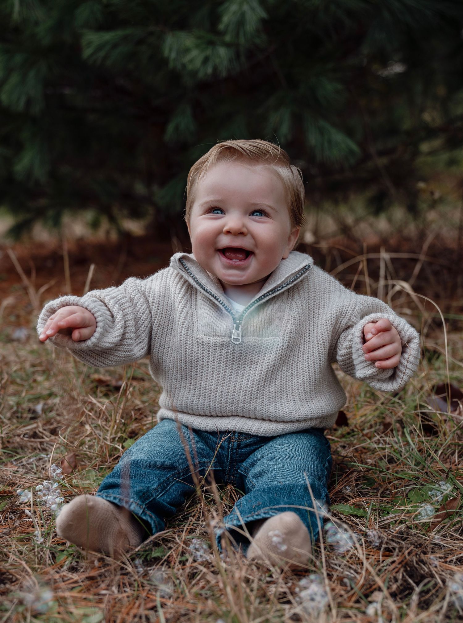 Christmas family portraits photography south jersey.