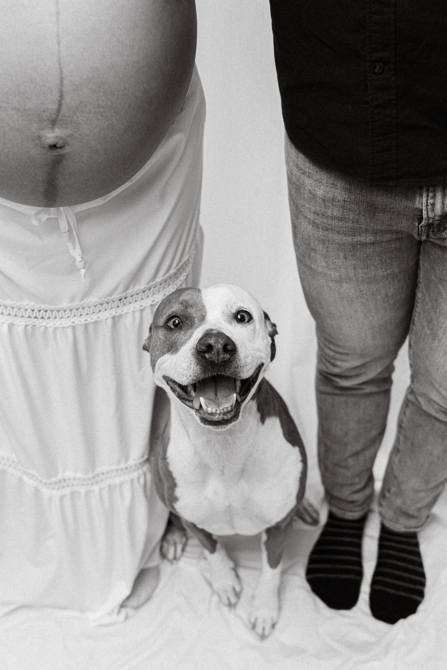 Maternity photos South Jersey emotional portrait with dog.