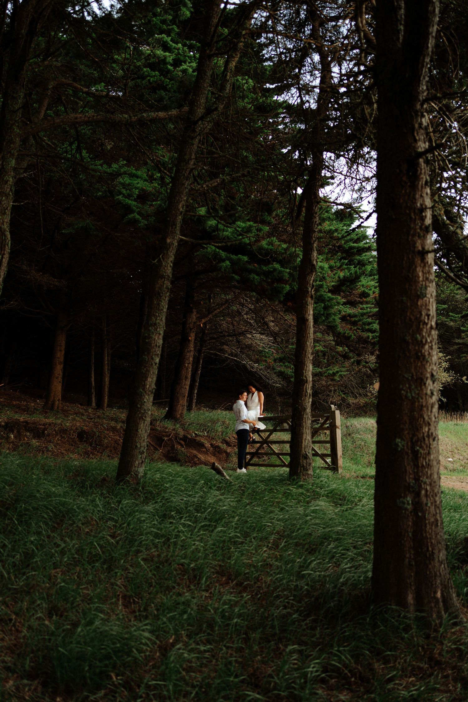 A couple sitting on a bench surrounded by tall pine trees during their engagement photoshoot in Sintra