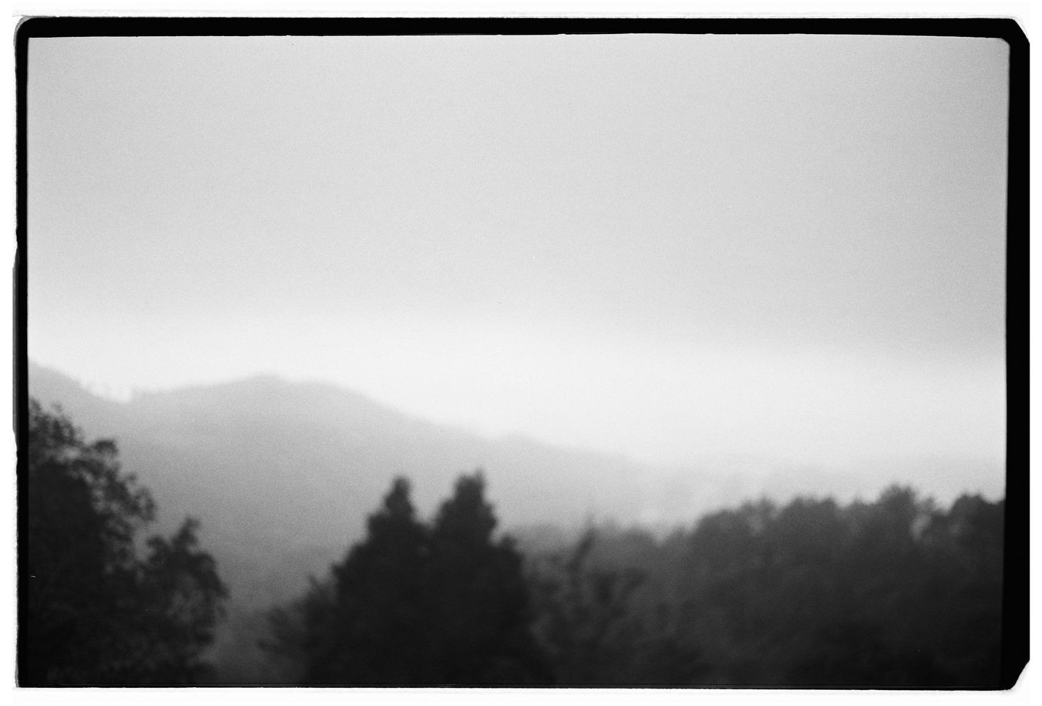 A film photograph of a misty forest landscape in the hills of Sintra, Portugal