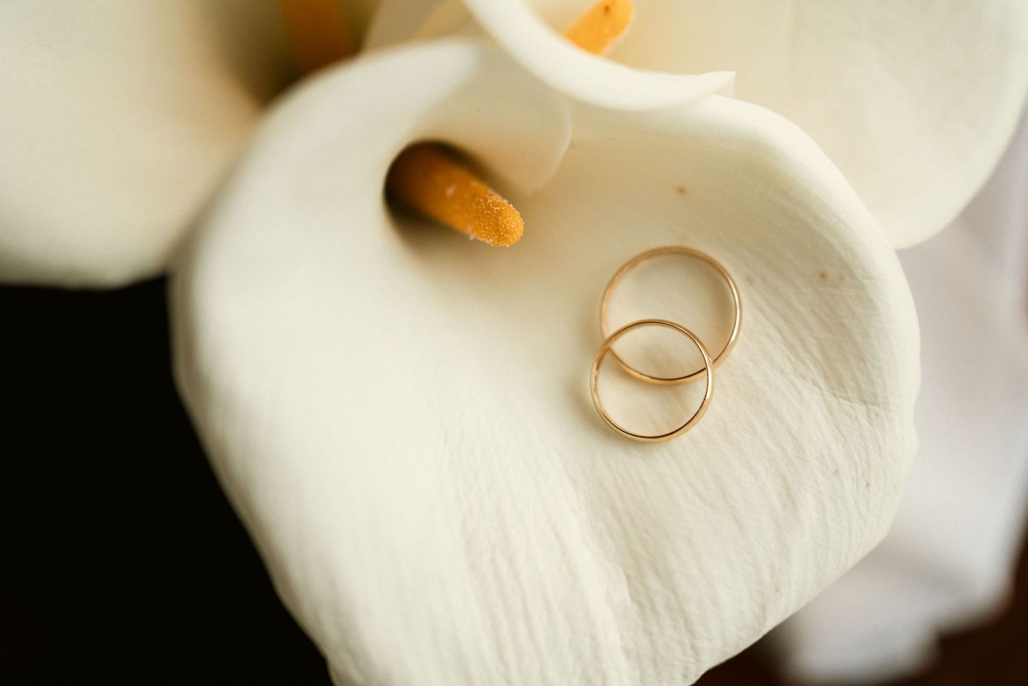 A close-up of two wedding rings resting on white calla lily petals, detail shot from an elopement in Portugal