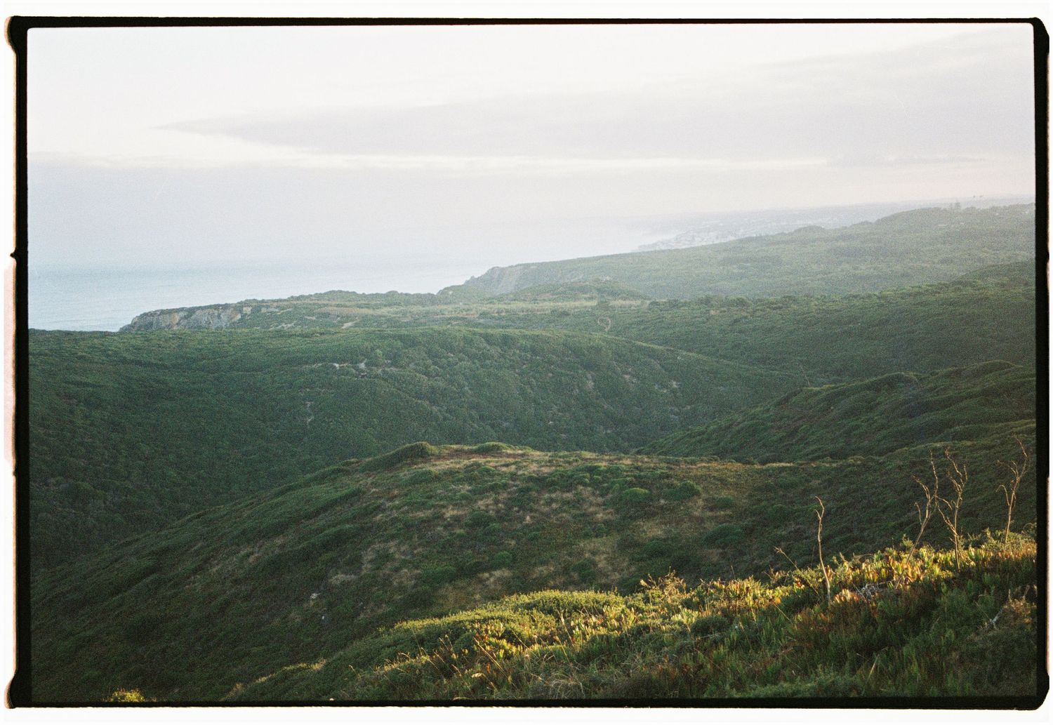 A film photograph of the green coastal hills above Praia da Ursa near Sintra, Portugal