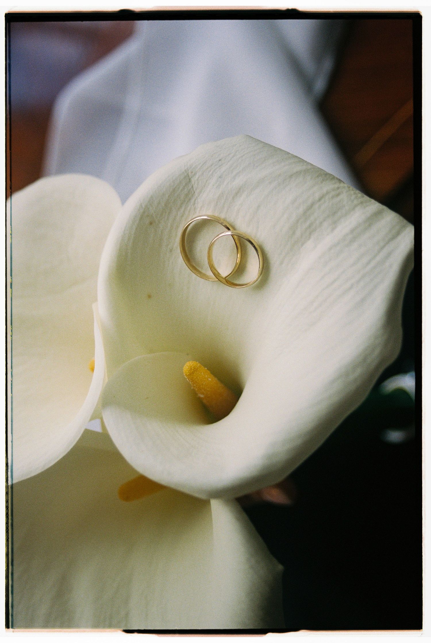A film close-up of two wedding rings resting inside a white calla lily, detail shot from an elopement in Portugal