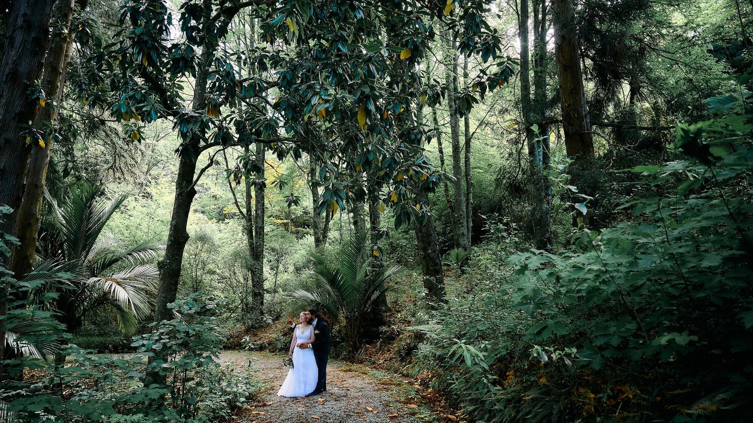 Bride and groom embracing on a forest path surrounded by tall trees and tropical foliage.