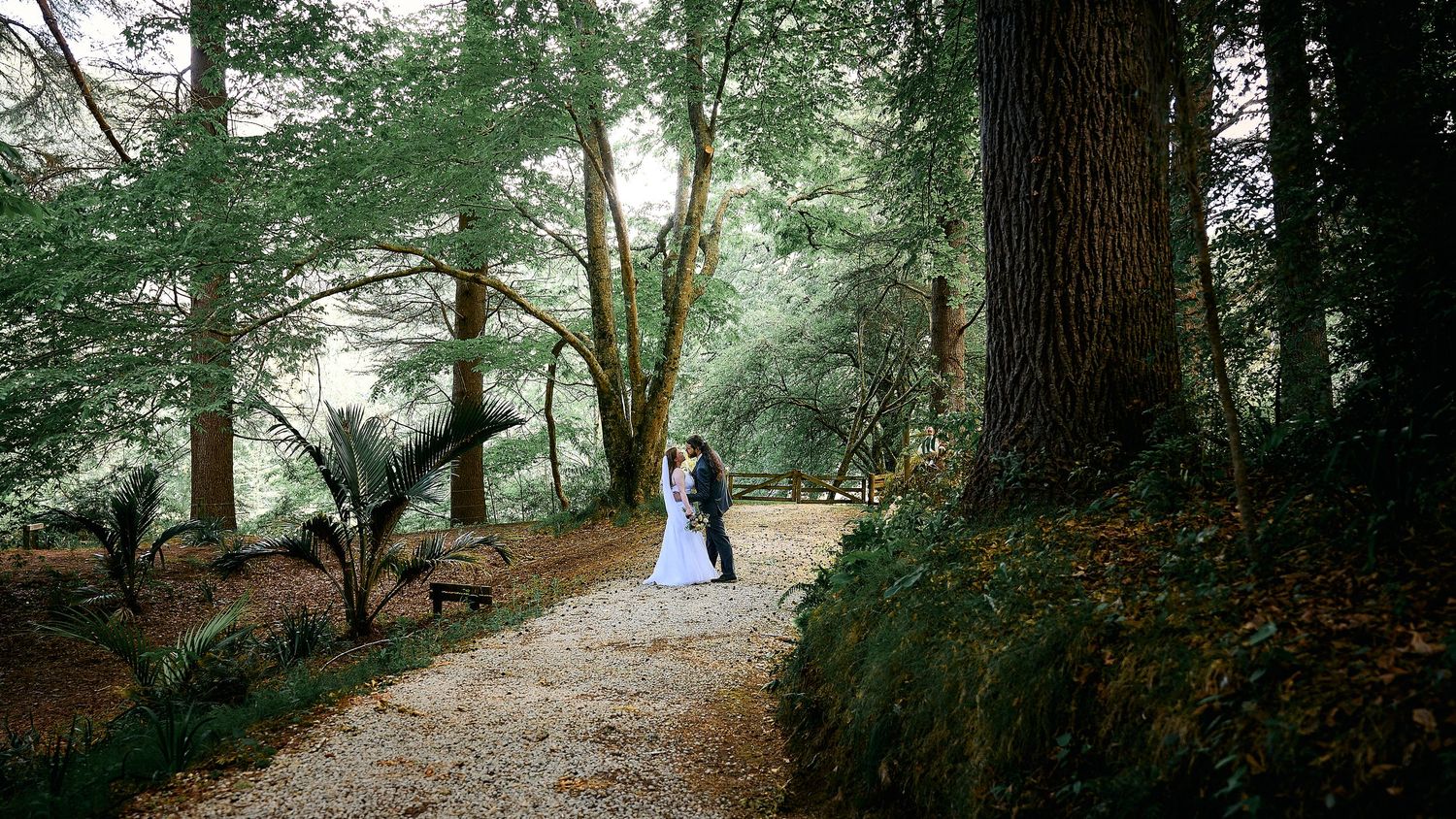Bride and groom sharing a romantic moment on a forest path surrounded by tall trees.