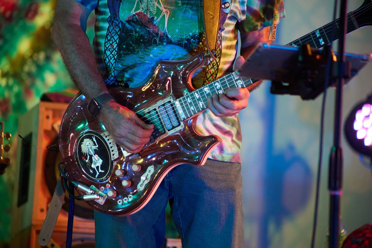 Bobby Weir Grateful Dead Tribute Band
