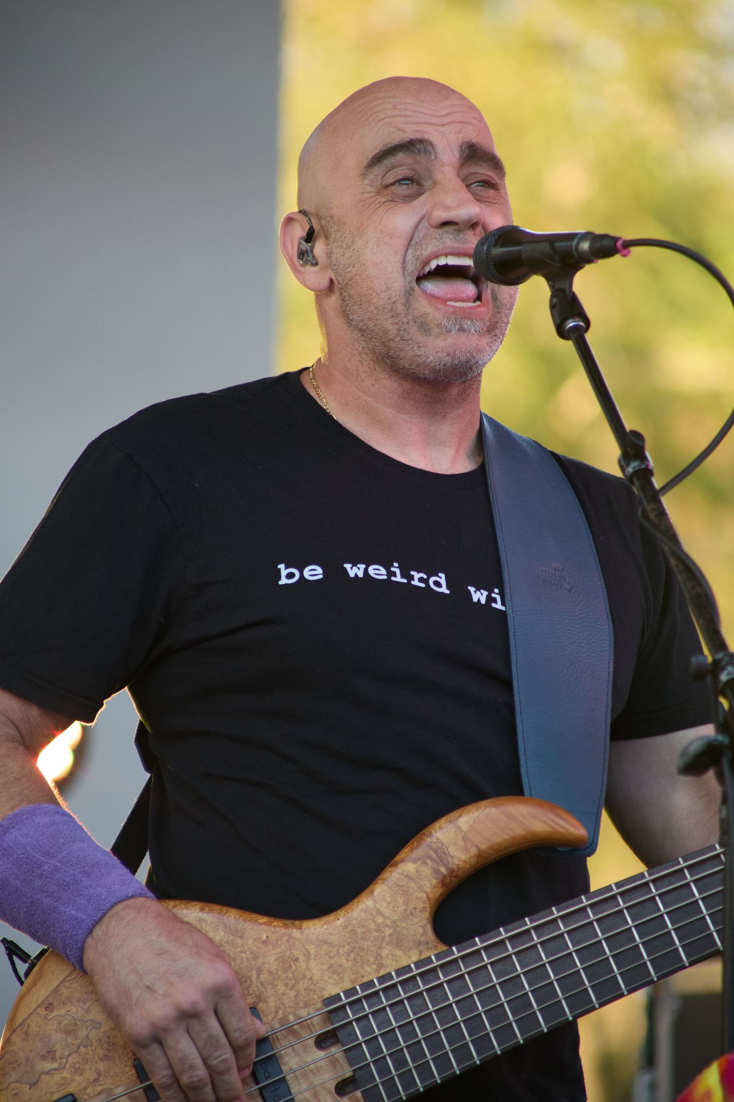 Bobby Weir Grateful Dead Tribute Band