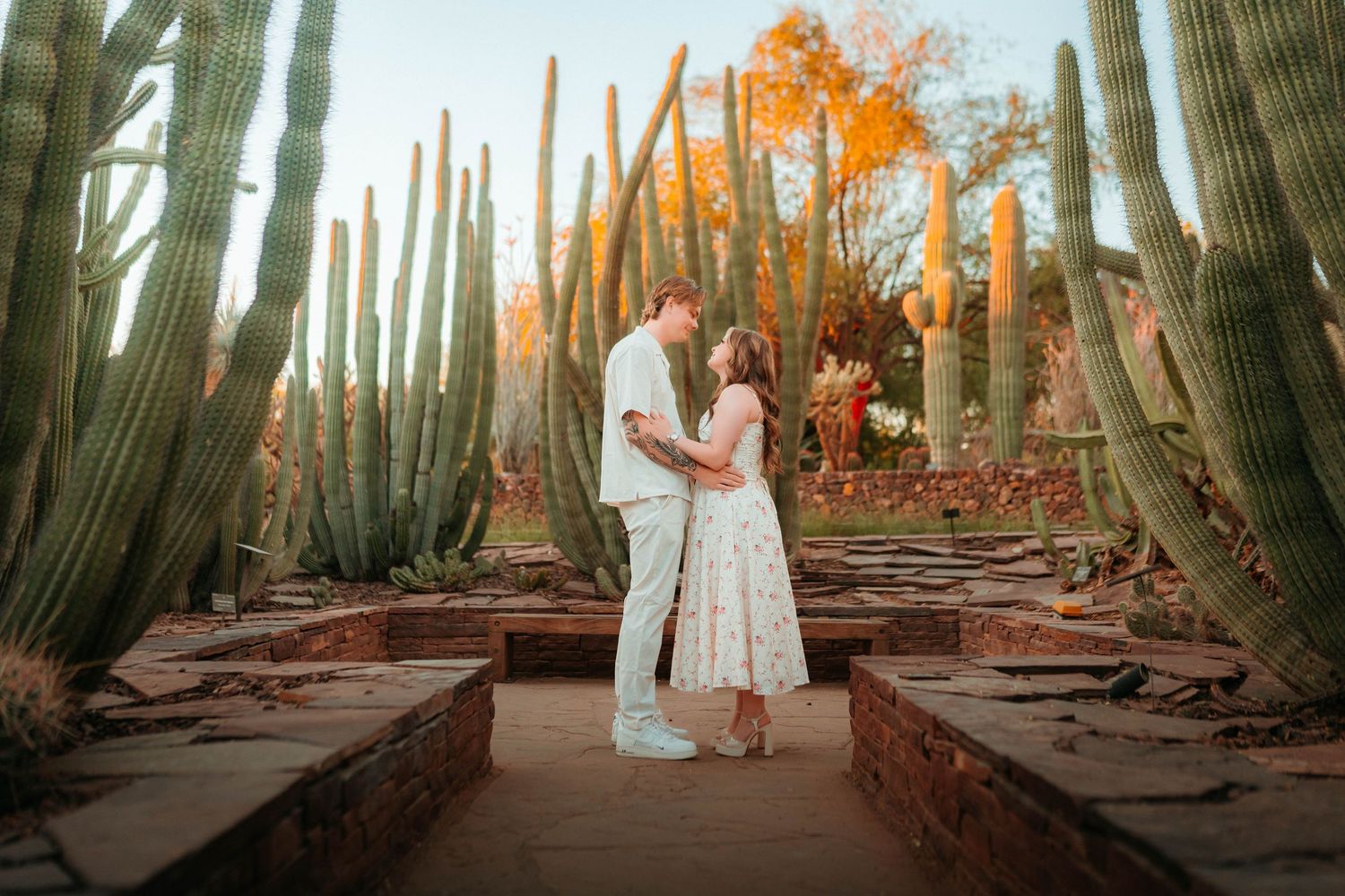 Couple standing together surrounded by tall cacti in a desert botanical garden at sunset.