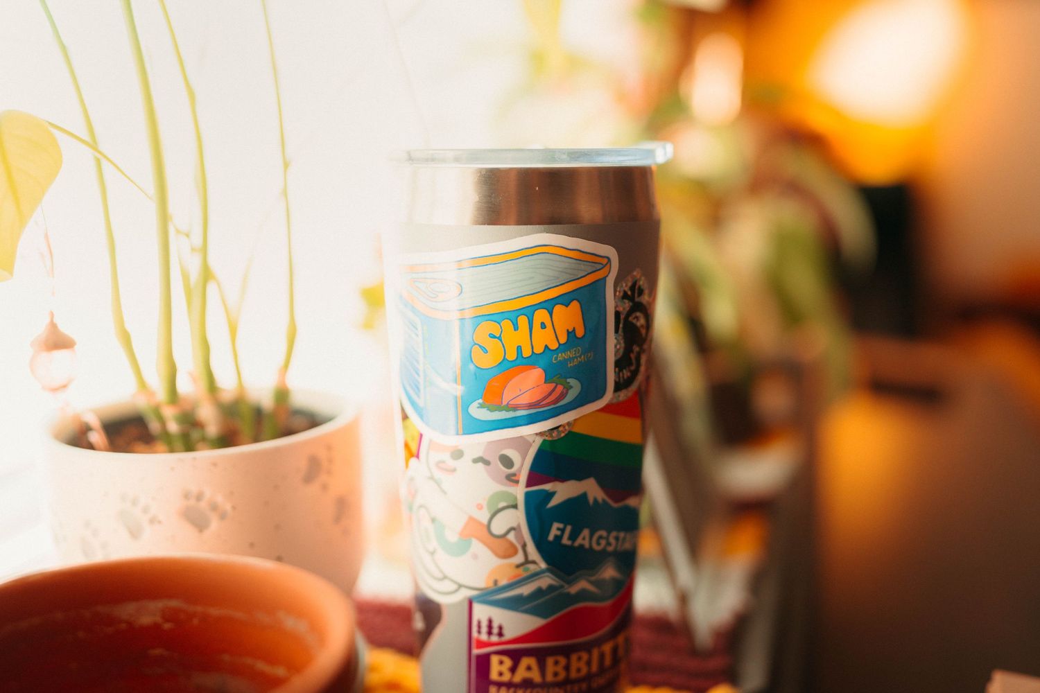 Colorful Sham brand beverage can with retro design displayed among indoor houseplants.