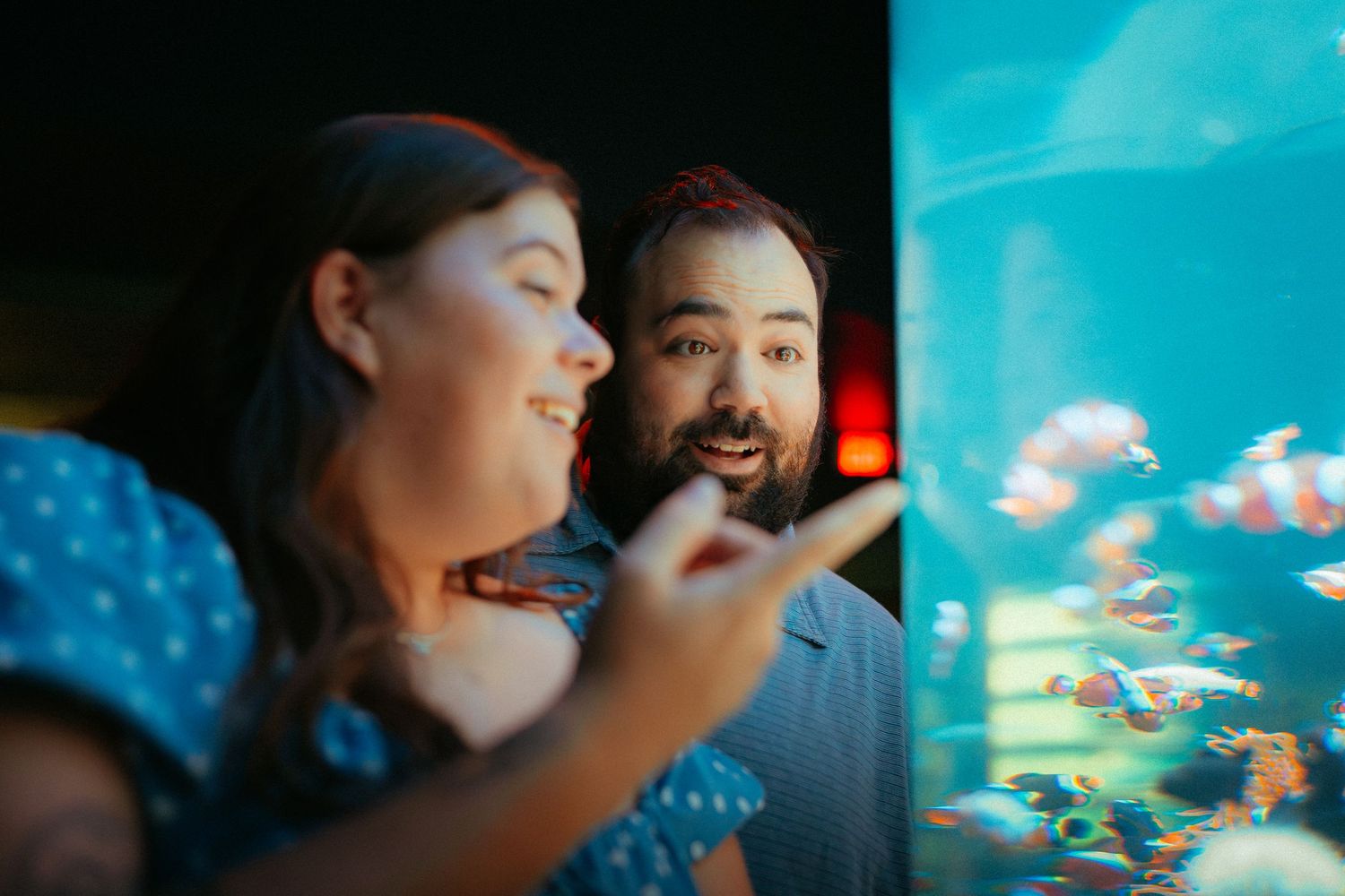 A couple smiles with wonder while viewing colorful fish at an aquarium exhibit, woman pointing at the tank.