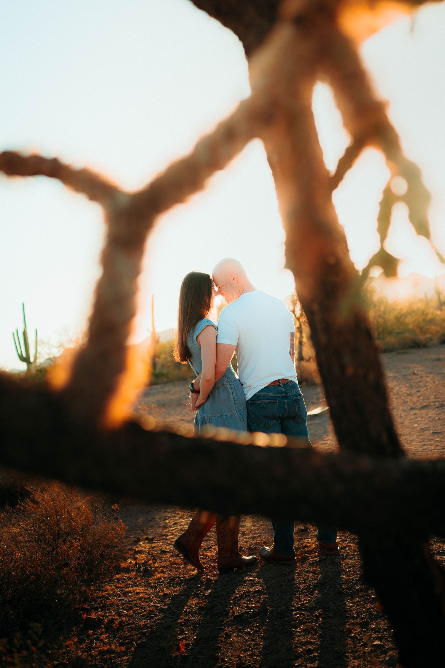 Romantic couple embracing at sunset in Arizona desert framed by bare tree branches with saguaro cacti.