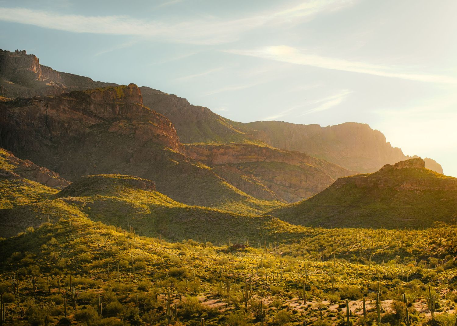 Warm golden sunset casting dramatic light over green desert hills and saguaro cacti in Arizona.