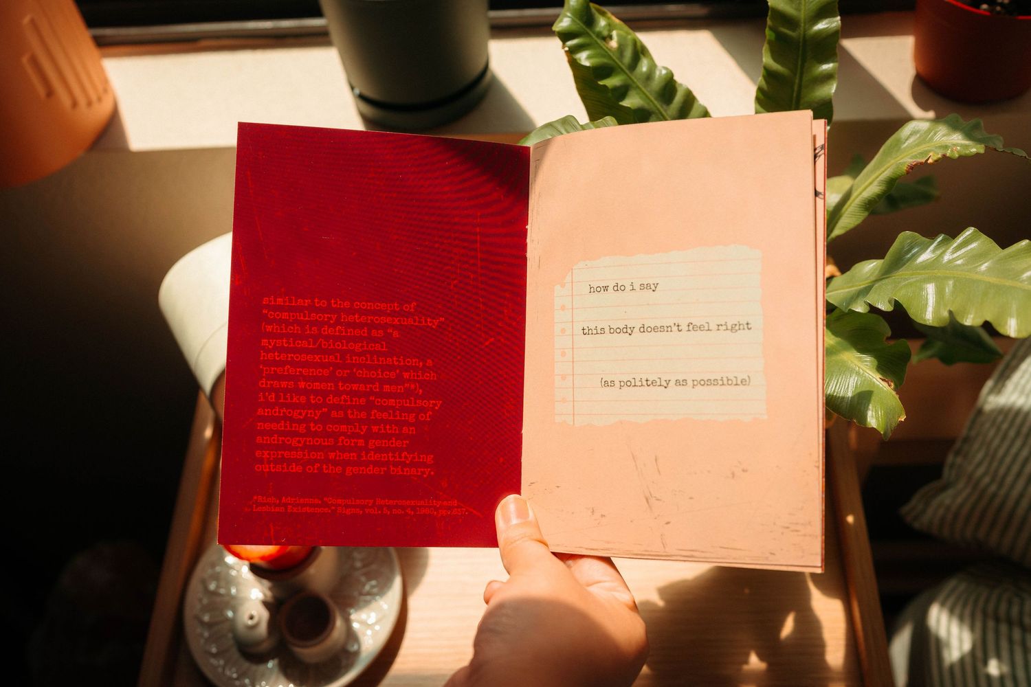 Hand holding open a pink book with red interior pages near a sunny window with plants.