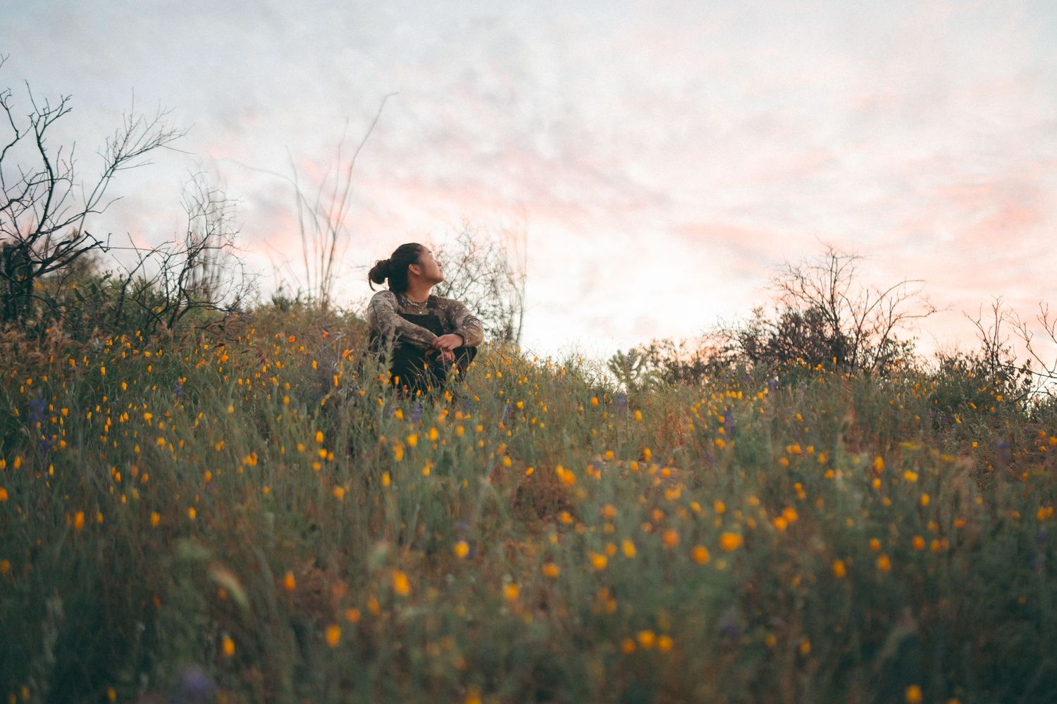 Person sitting peacefully in a golden wildflower meadow under a pastel sunset sky.