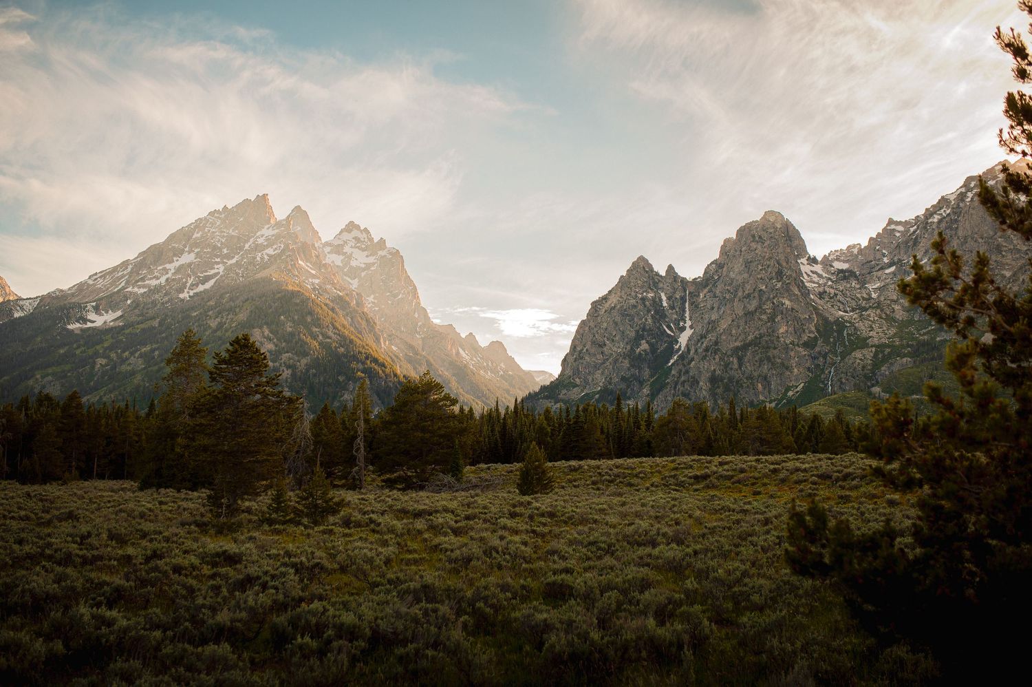 Majestic Grand Teton mountain range with jagged peaks rising above green meadows and pine forest.