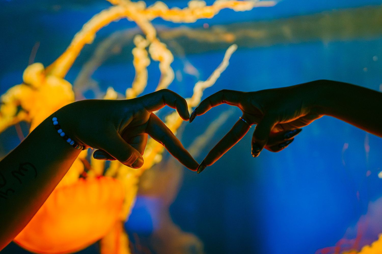 Two hands forming a heart shape silhouetted against a vibrant blue and orange jellyfish aquarium background.
