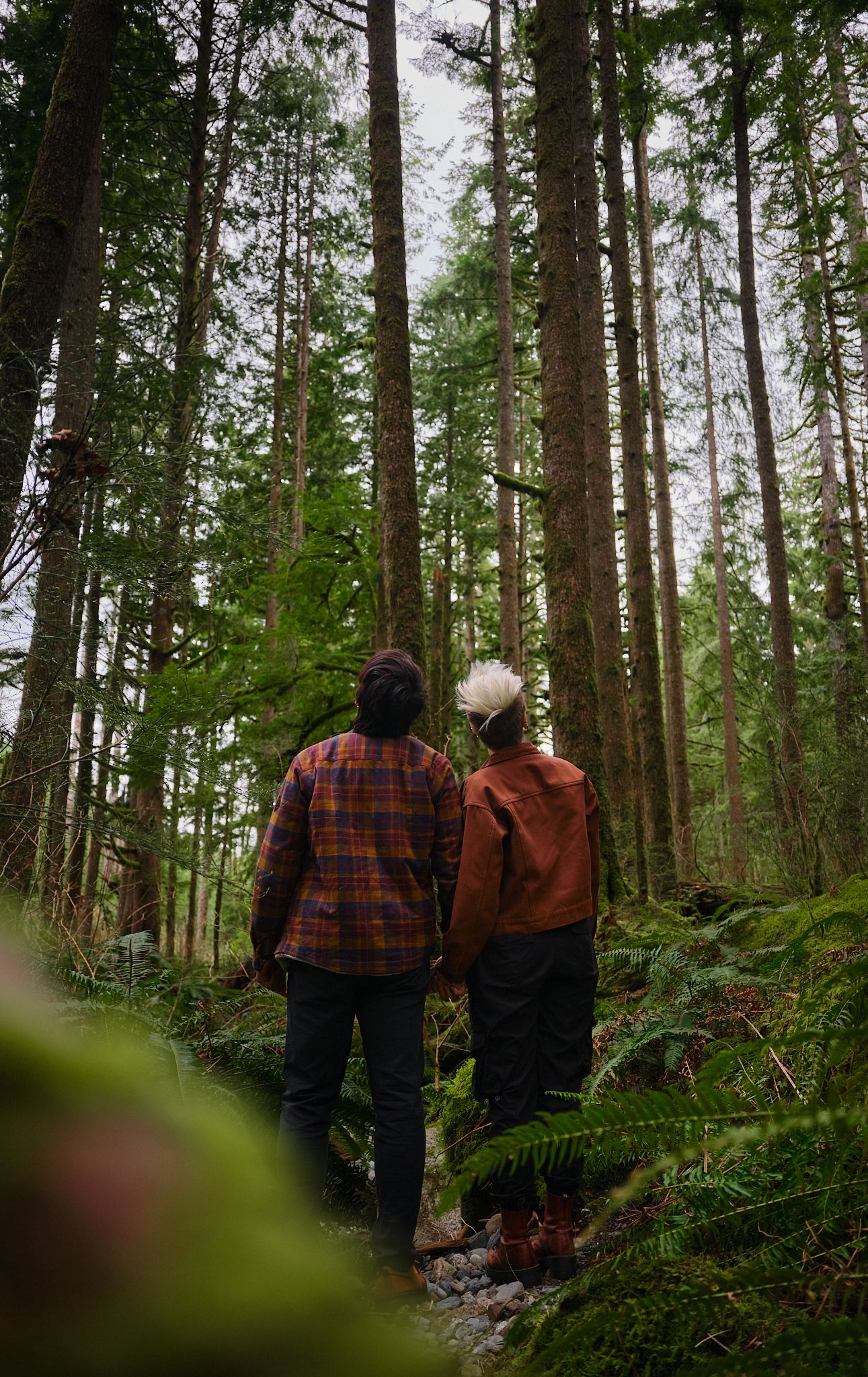 A couple staring up at the tall trees in forest in Washington State. Photo by N&D Wedding Photography and Film