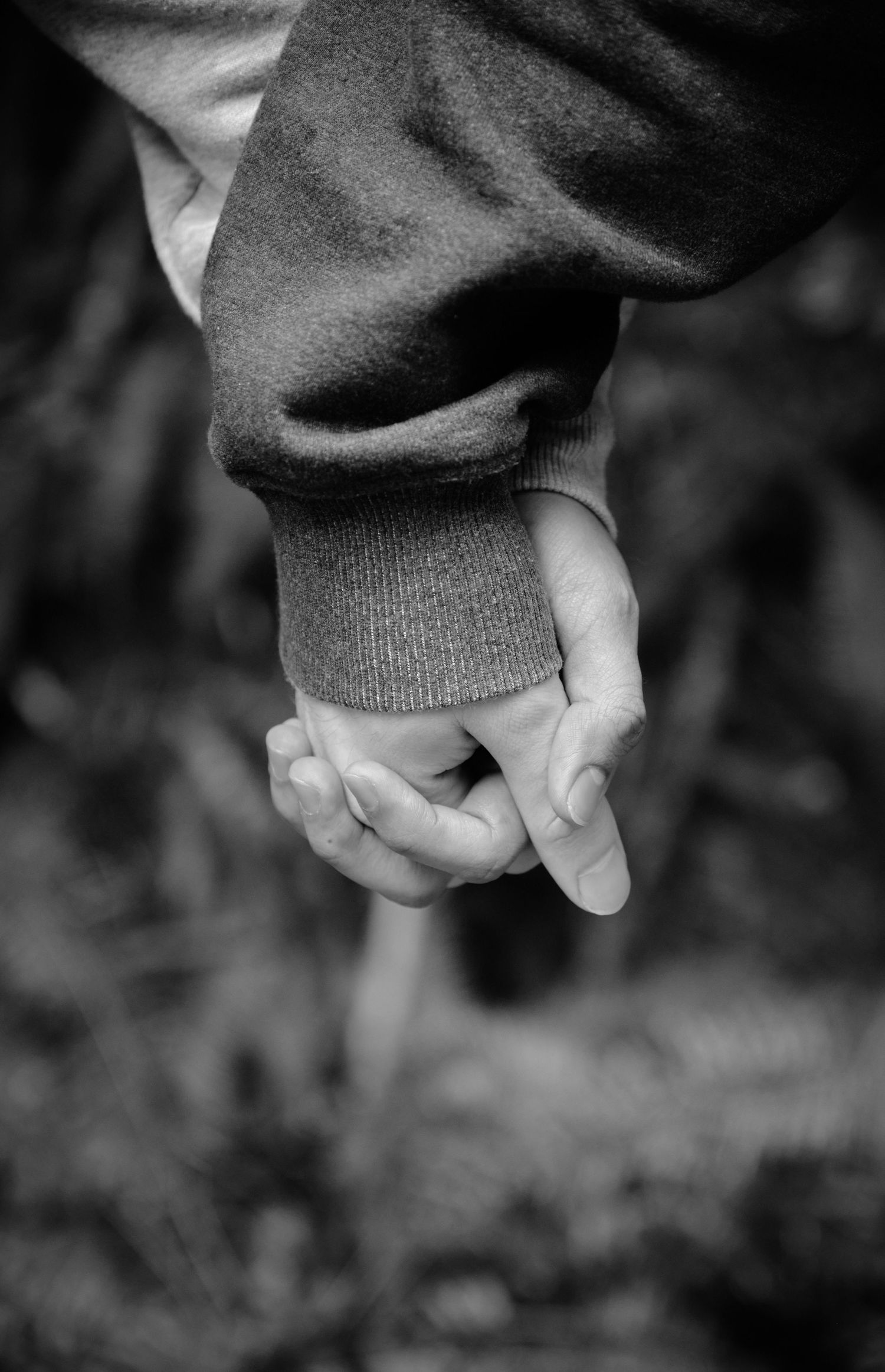 A couple holding hands in a Washington State forest. Photo by N&D Wedding Photography and Film