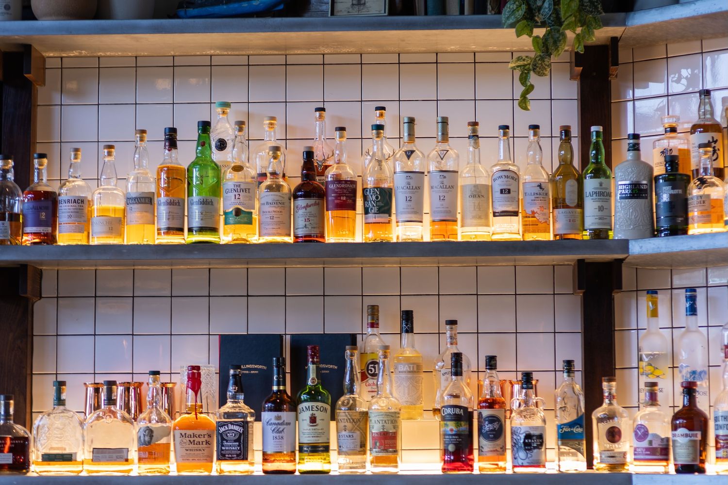 Illuminated glass shelves display a variety of liquor bottles in a bar setting with backlighting.