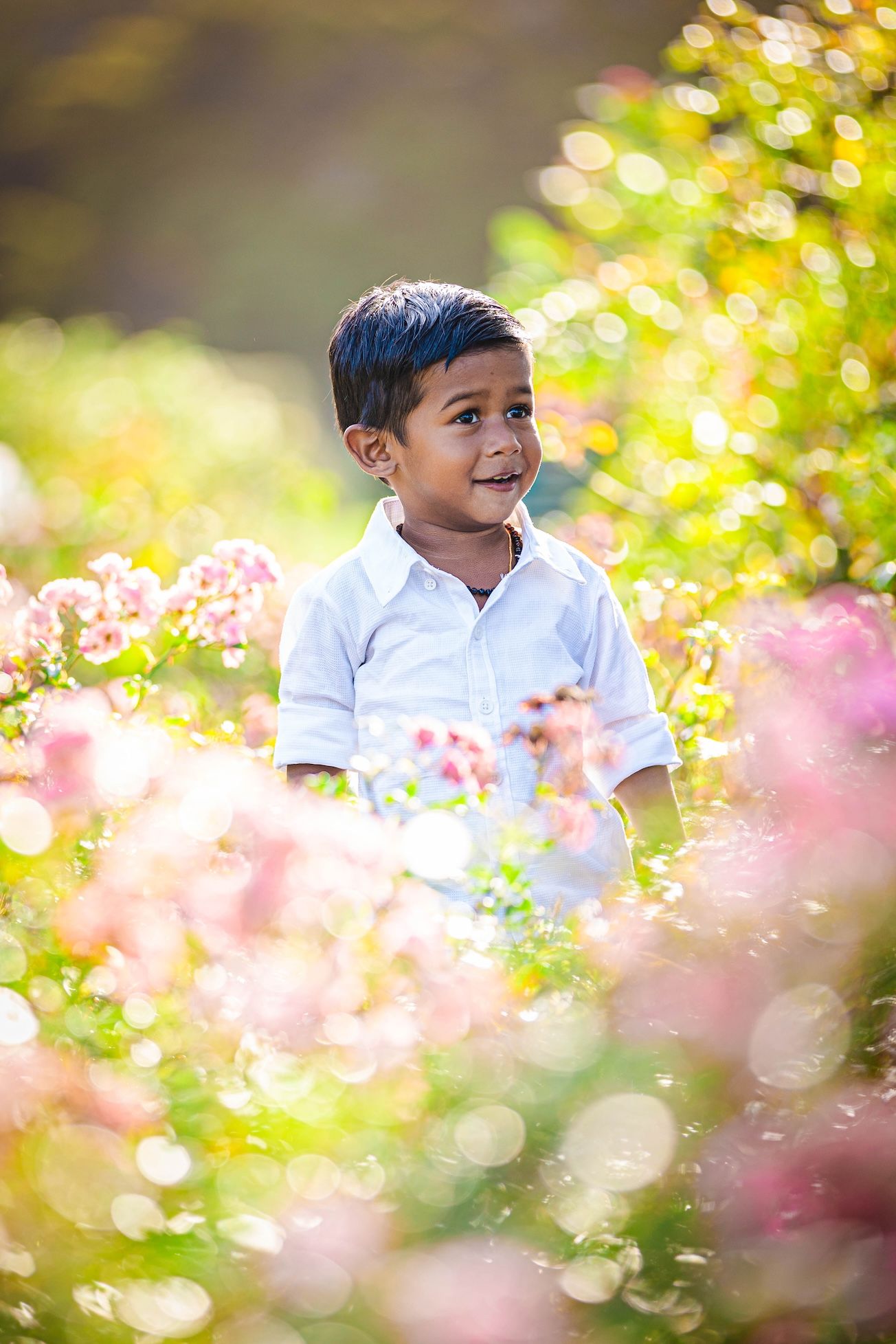 Young boy in white shirt smiling among pink flowers in a sunlit garden.