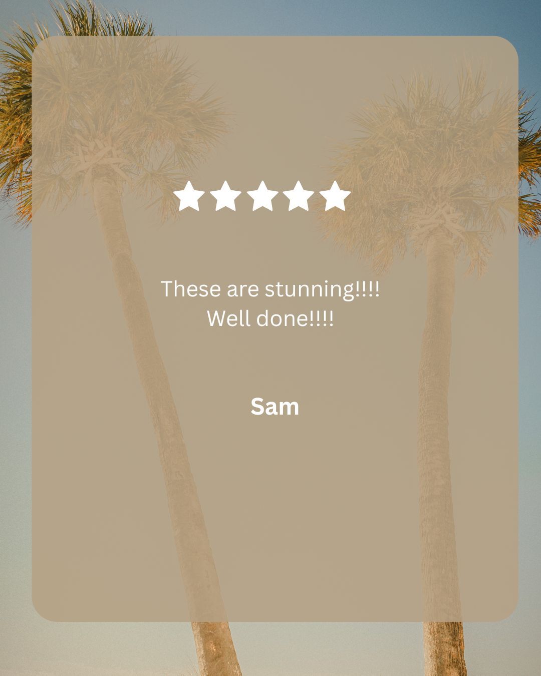 Five-star customer review from Sam calling photos stunning on a palm tree background.