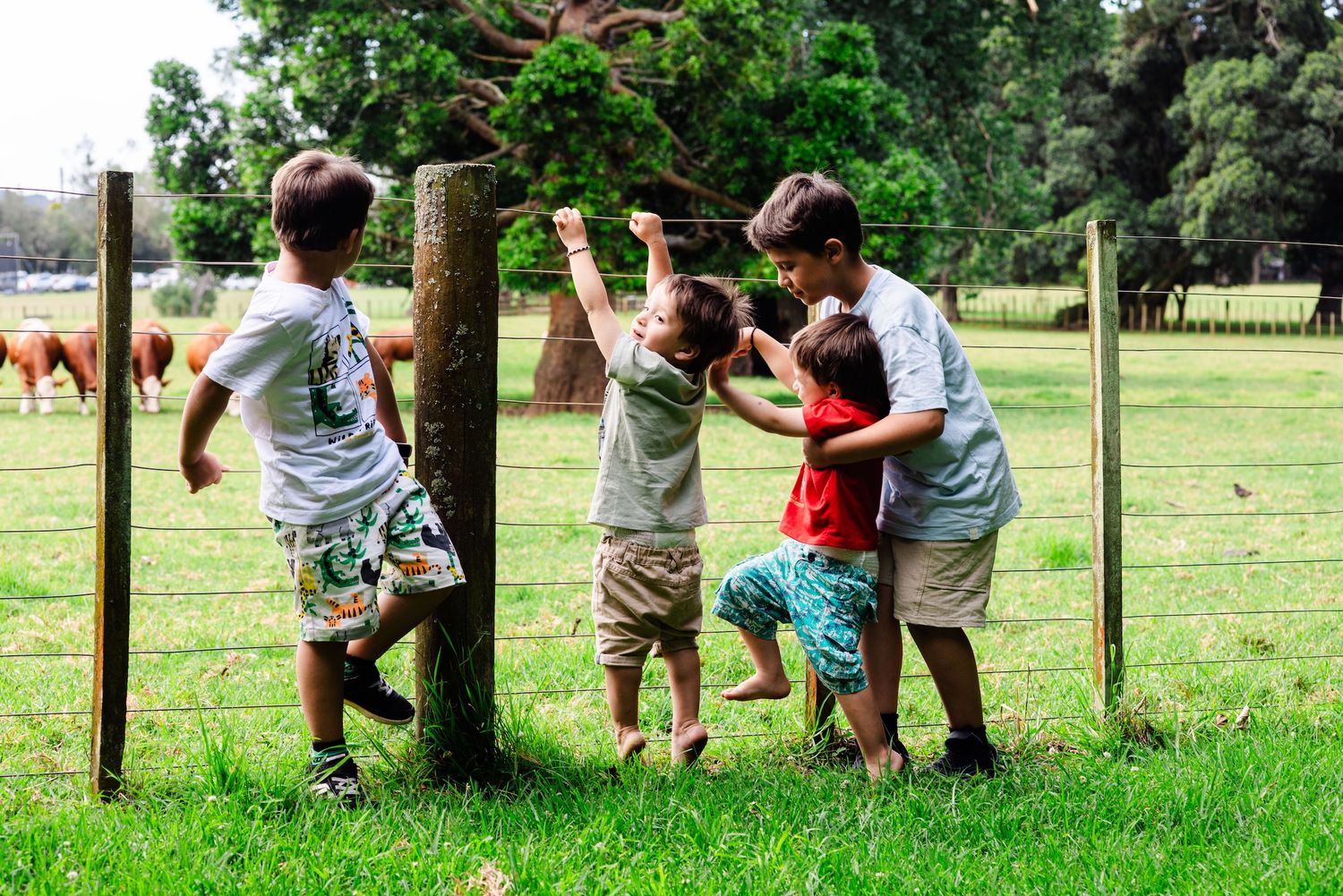 Four children playing near a wooden fence post on a lush green farm with cattle grazing in the background.