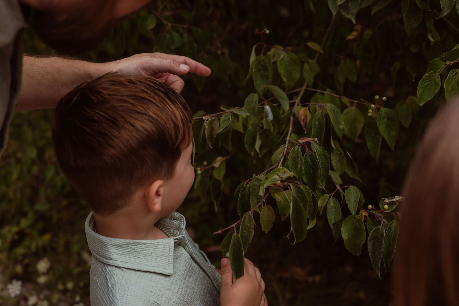Adult guiding young boy to explore green leafy tree branches outdoors in a lush garden setting.